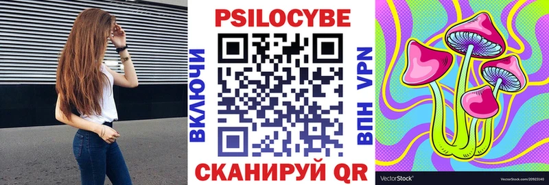 Галлюциногенные грибы Psilocybe Волоколамск